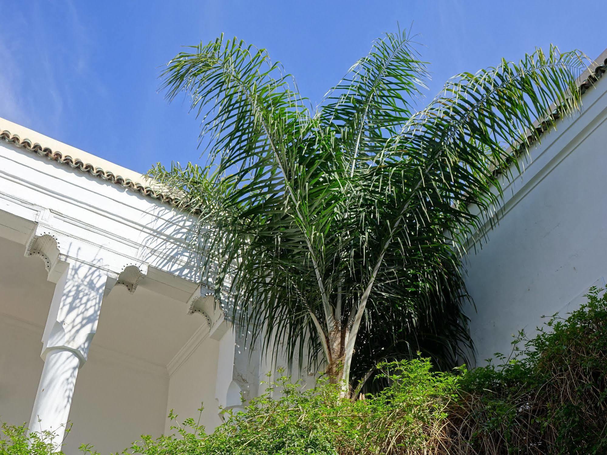 Riad Al Assala Marrakesh Eksteriør billede